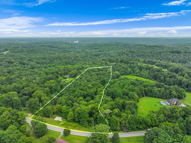 4199 Lylewood Rd, Indian Mound, TN 37079