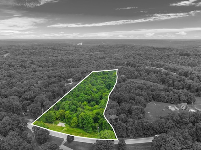 4199 Lylewood Rd, Indian Mound, TN 37079