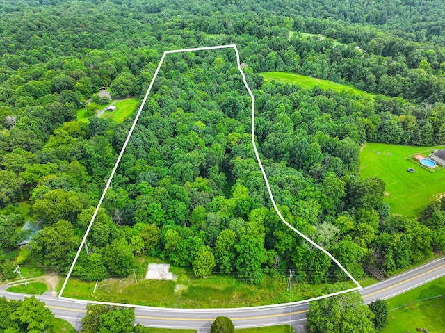 4199 Lylewood Rd, Indian Mound TN, 37079 land for sale