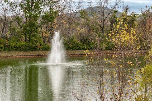 view of water feature