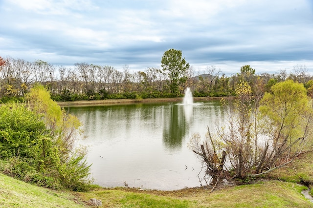 view of water feature