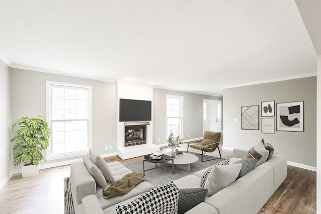 living room featuring crown molding, a fireplace, a textured ceiling, and wood-type flooring