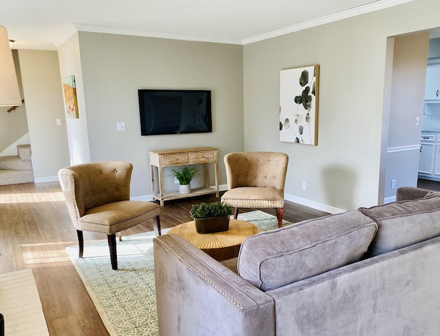 living room featuring ornamental molding and light wood-type flooring