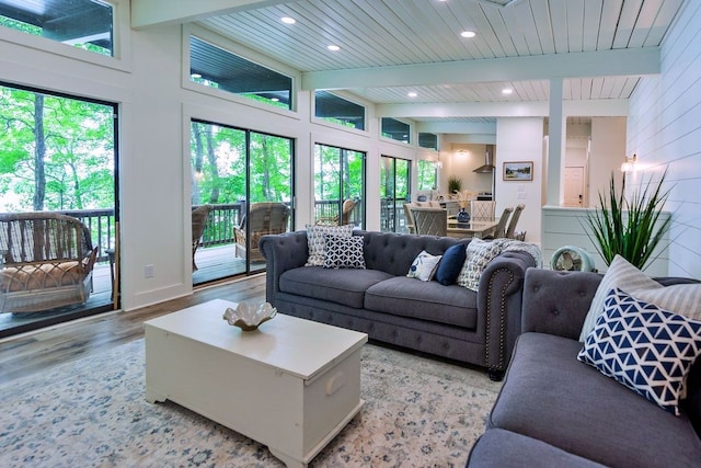 living room with light hardwood / wood-style flooring, high vaulted ceiling, and plenty of natural light