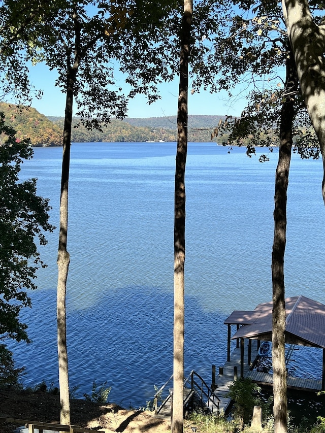 dock area with a water view