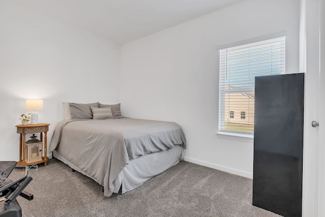 bedroom featuring carpet