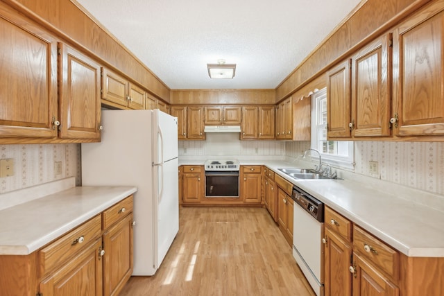 kitchen featuring a textured ceiling, light wood-type flooring, sink, and white appliances