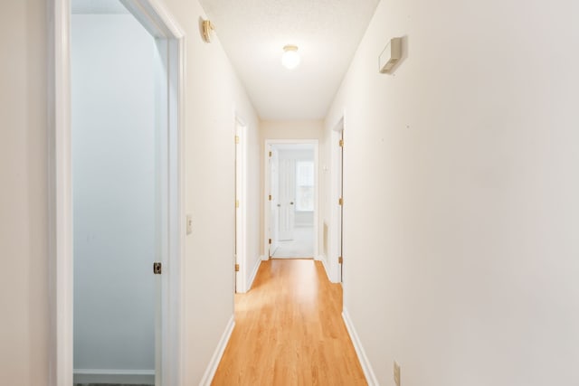 hallway with a textured ceiling and light hardwood / wood-style flooring