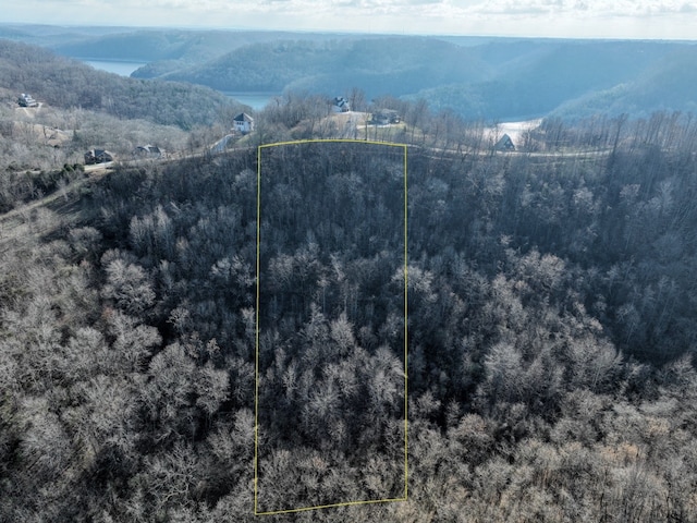 Listing photo 2 for 0 Coconut Ridge Rd, Smithville TN 37166