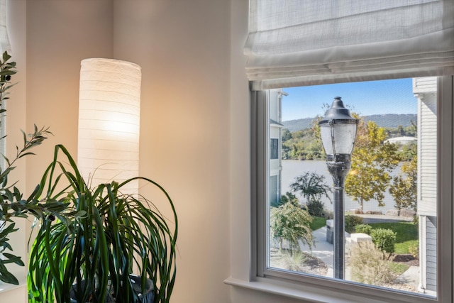 room details featuring a mountain view