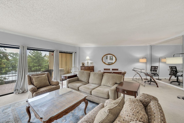carpeted living room with a textured ceiling and ornamental molding