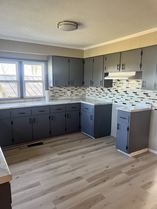 kitchen with decorative backsplash, light hardwood / wood-style flooring, and gray cabinets