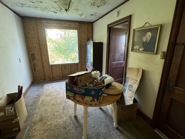 dining area featuring carpet floors