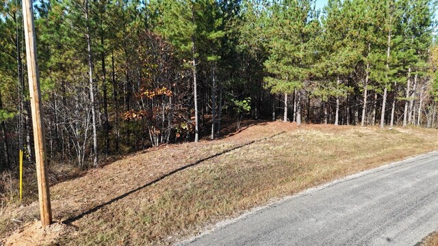 3020 Mcgee Rd, Linden, TN 37096