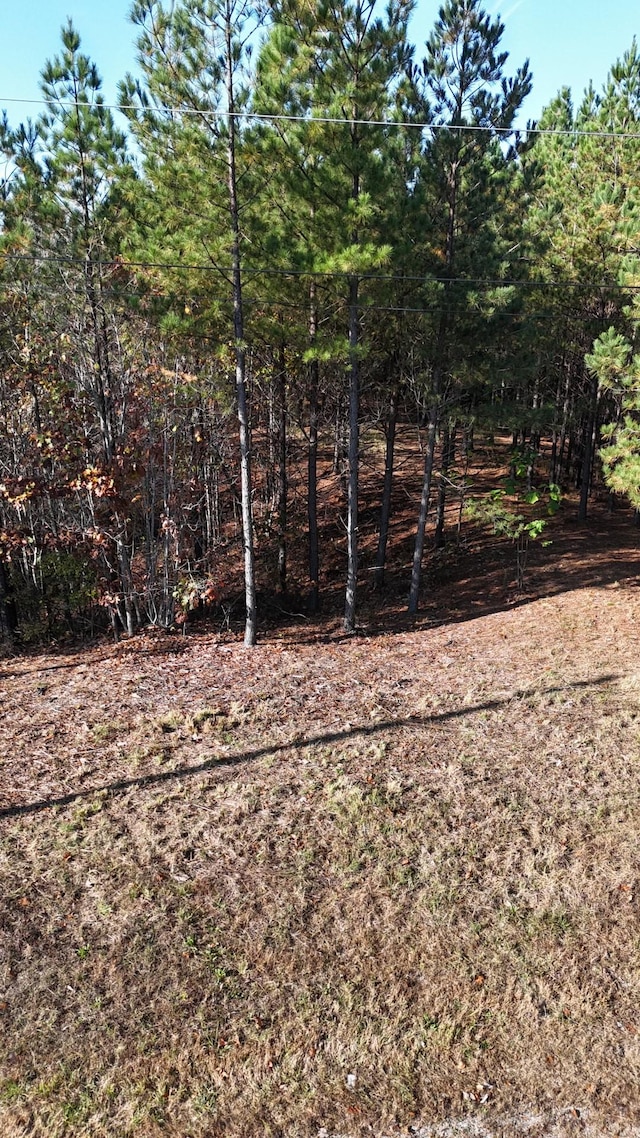 3020 Mcgee Rd, Linden, TN 37096
