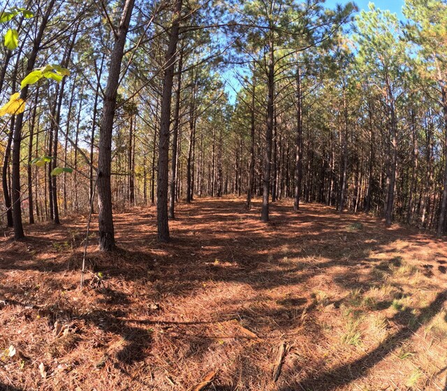 3020 Mcgee Rd, Linden, TN 37096