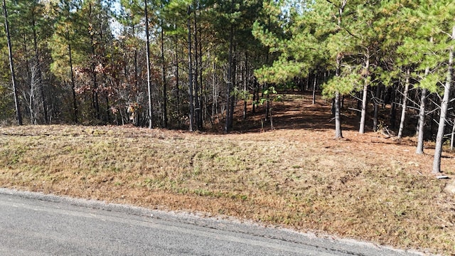 3020 Mcgee Rd, Linden, TN 37096