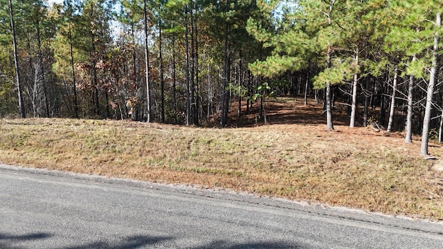 3020 Mcgee Rd, Linden, TN 37096