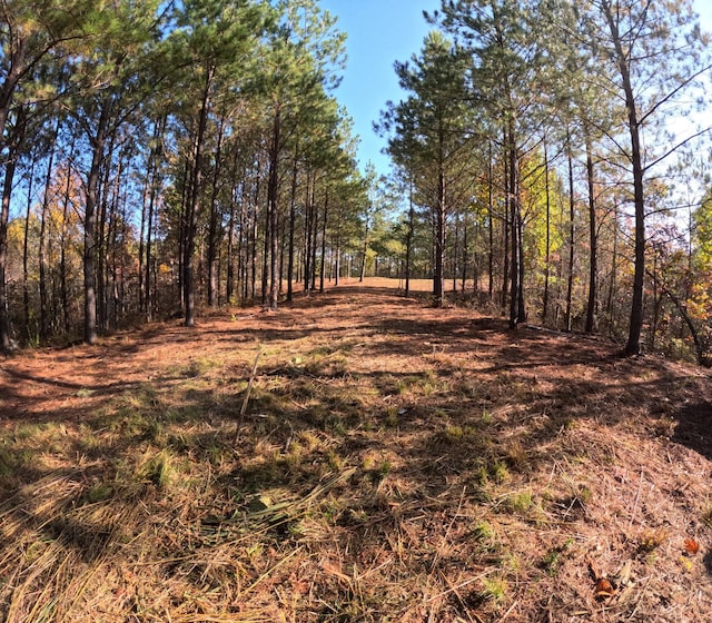 3020 Mcgee Rd, Linden, TN 37096