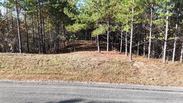 3020 Mcgee Rd, Linden, TN 37096