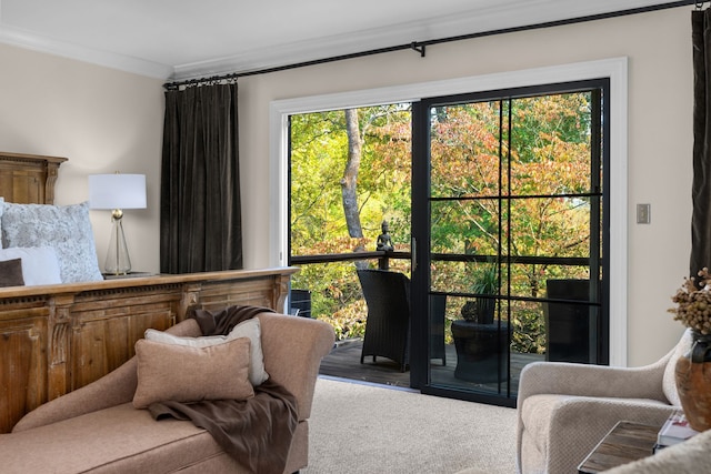 interior space featuring crown molding and carpet floors