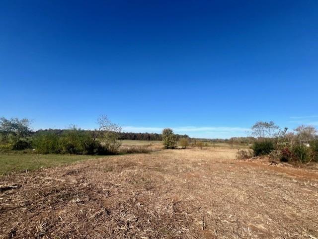 9416 Shady Park Rd, Portland, TN 37148 - photo 1
