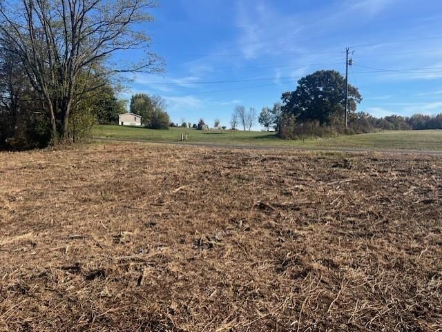 9416 Shady Park Rd, Portland, TN 37148 - photo 3