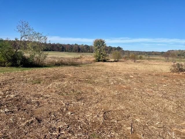 9416 Shady Park Rd, Portland, TN 37148 - photo 2