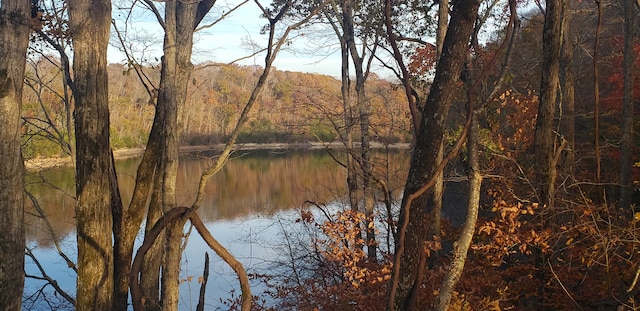 water view featuring a forest view