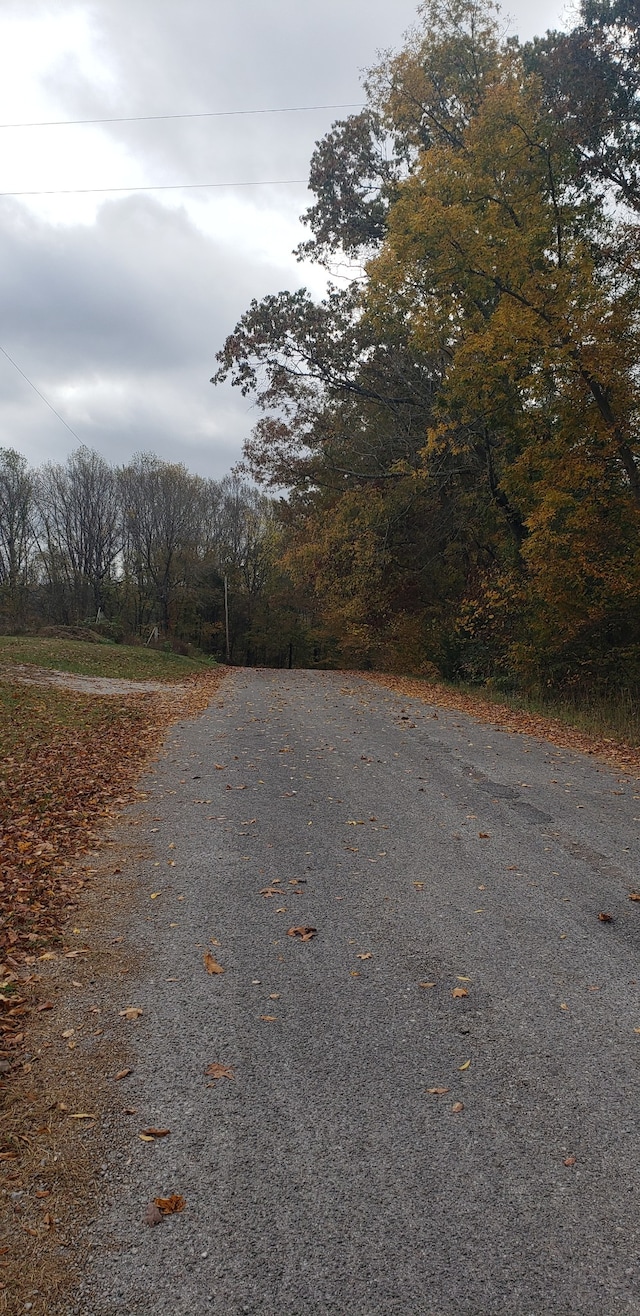 view of road