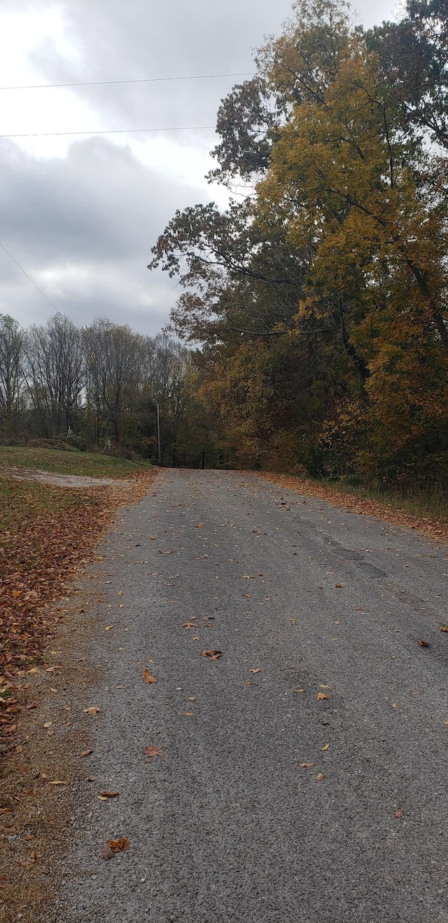 108 Devils Backbone Rd, Manchester, TN 37355 - photo 6