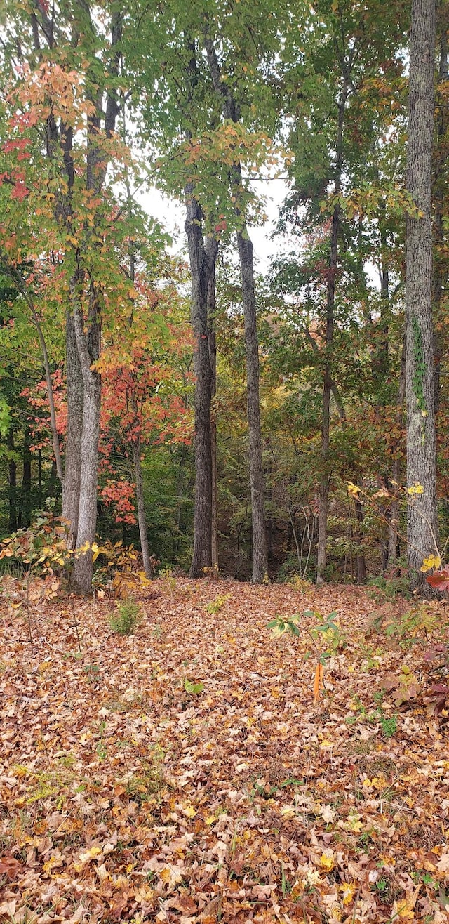 108 Devils Backbone Rd, Manchester, TN 37355 - photo 4