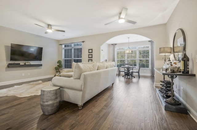 living room with ceiling fan and dark hardwood / wood-style flooring