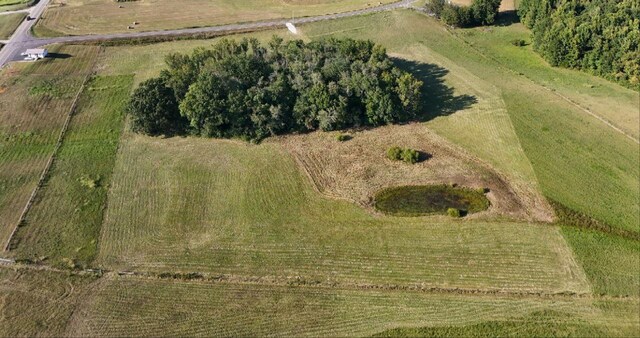 0 Gum Springs Mountain Rd, Walling, TN 38587 - photo 23