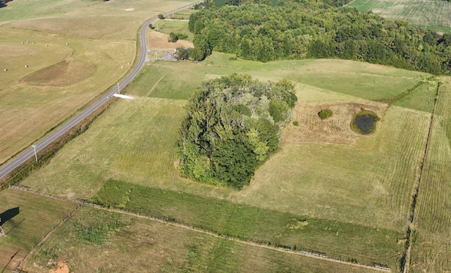 0 Gum Springs Mountain Rd, Walling, TN 38587 - photo 24