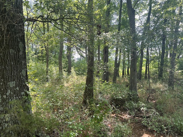 0 Gum Springs Mountain Rd, Walling, TN 38587 - photo 5