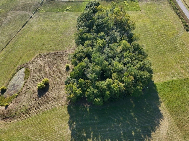 0 Gum Springs Mountain Rd, Walling, TN 38587 - photo 16