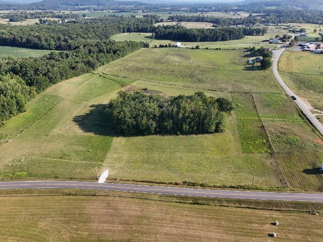 0 Gum Springs Mountain Rd, Walling, TN 38587 - photo 22