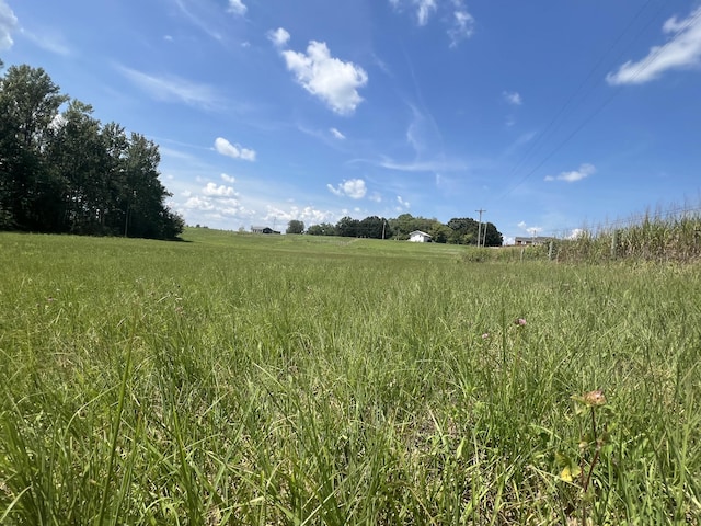 0 Gum Springs Mountain Rd, Walling, TN 38587 - photo 14