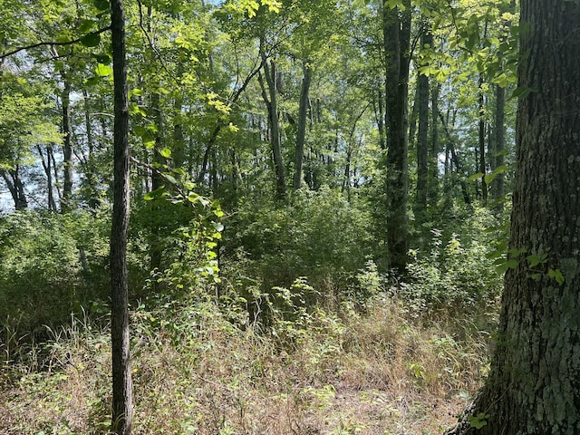 0 Gum Springs Mountain Rd, Walling, TN 38587 - photo 6