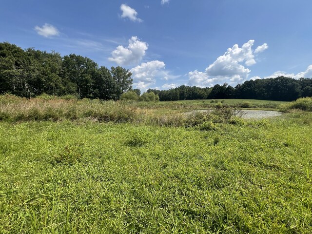 0 Gum Springs Mountain Rd, Walling, TN 38587 - photo 10