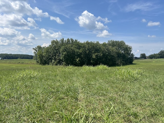 0 Gum Springs Mountain Rd, Walling, TN 38587 - photo 3