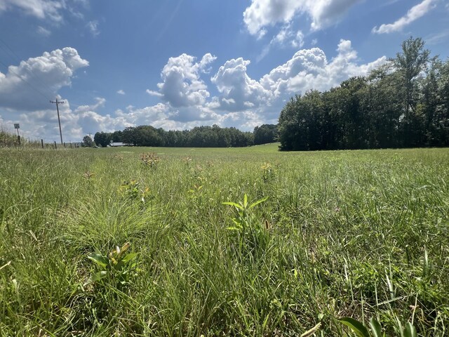 0 Gum Springs Mountain Rd, Walling, TN 38587 - photo 15