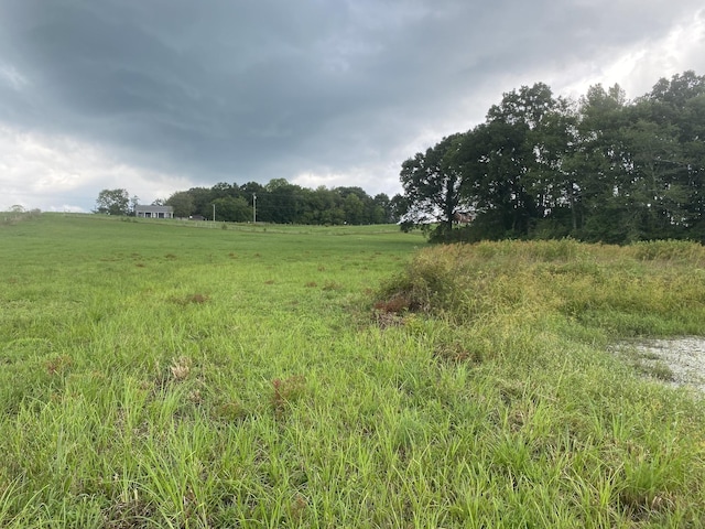 0 Gum Springs Mountain Rd, Walling, TN 38587 - photo 35