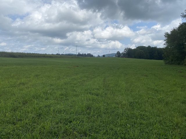 0 Gum Springs Mountain Rd, Walling, TN 38587 - photo 36