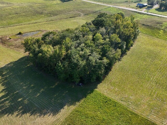 0 Gum Springs Mountain Rd, Walling, TN 38587 - photo 28