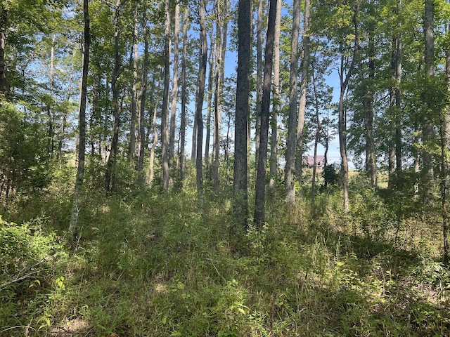 0 Gum Springs Mountain Rd, Walling, TN 38587 - photo 8