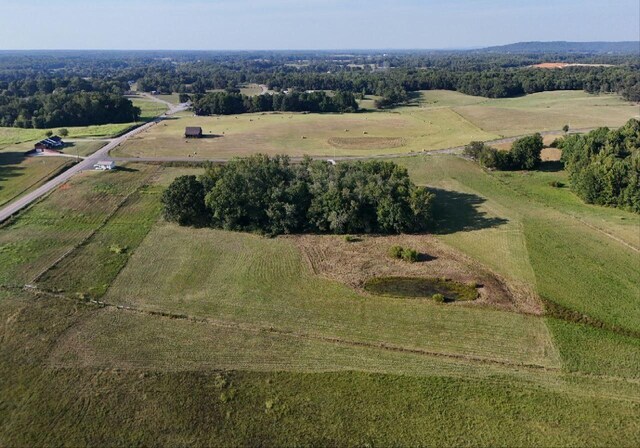 0 Gum Springs Mountain Rd, Walling, TN 38587 - photo 21