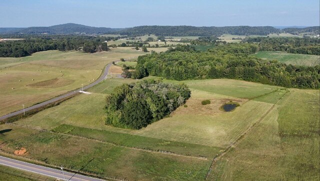 0 Gum Springs Mountain Rd, Walling, TN 38587 - photo 26