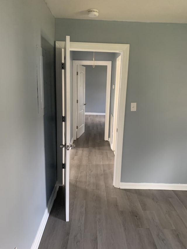 hall featuring dark wood-type flooring